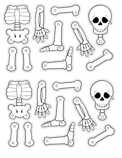 Dibujos para colorear del esqueleto humano con sus partes - Imagui