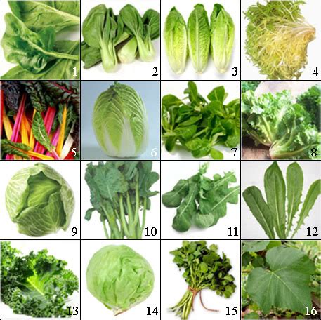 Leafy Vegetables Names In English