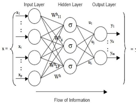 Example of a Neural Network | Download Scientific Diagram