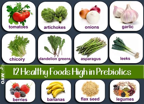 Healthy Foods High in Prebiotics