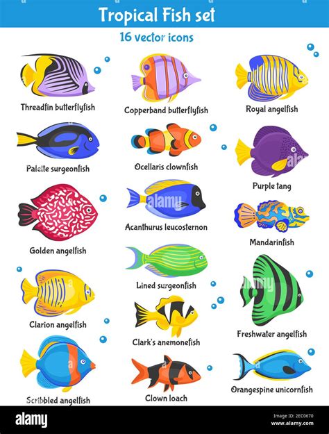 Exotic tropical fish icons set with fish species flat isolated vector ...