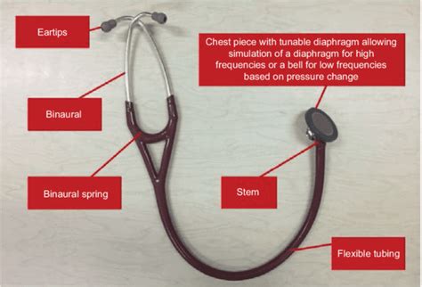 The Stethoscope - HubPages