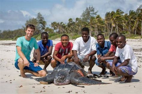 The 5 Best Volunteer Projects to See Sea Turtle Hatchlings | WorkingAbroad