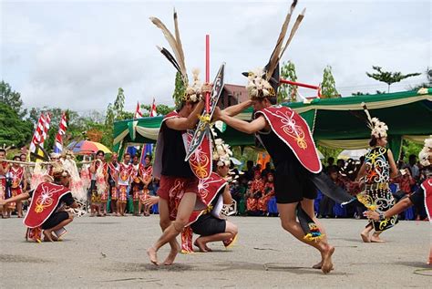 tari perang | kalimantan timur | Culture of indonesia, Borneo, Indonesia