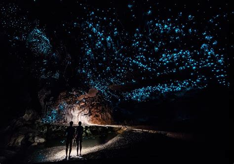 See One of New Zealand's Coolest Attractions: The Glowing Waitomo Caves