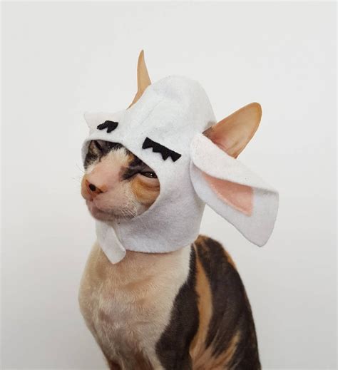 Sheep Costume for Cats Small Breed Dogs and Small Pets in - Etsy