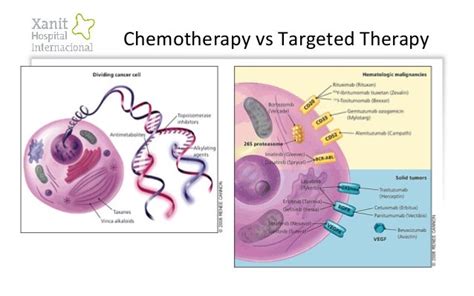 Targeted Therapy in Cancer