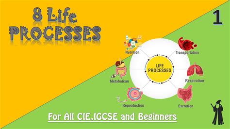 IGCSE Biology | The 8 life processes #1 - YouTube