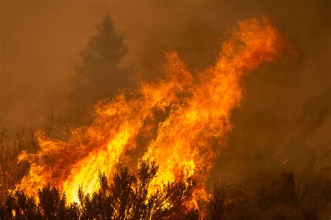 The August Complex Fire Is Now The Largest Wildfire In California ...