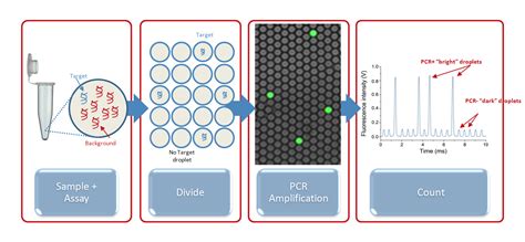 RainDrop Digital PCR System