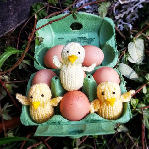 Easter chick free knitting pattern