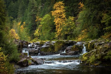 Autumn Creek Falls (11x14) — The Wilderness Within