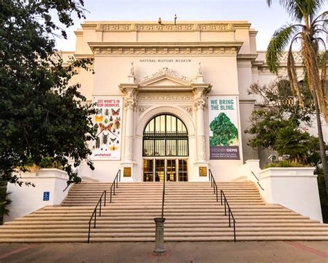 San Diego Natural History Museum - 2019 All You Need to Know BEFORE You ...