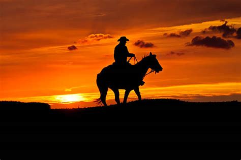 1,700+ Cowboy Horse Silhouette Sunset Stock Photos, Pictures & Royalty ...