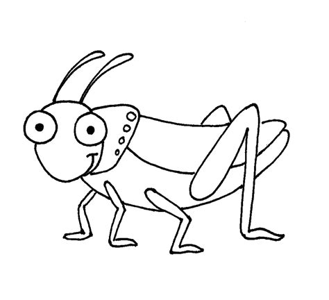 Grasshopper clipart outline, Grasshopper outline Transparent FREE for ...