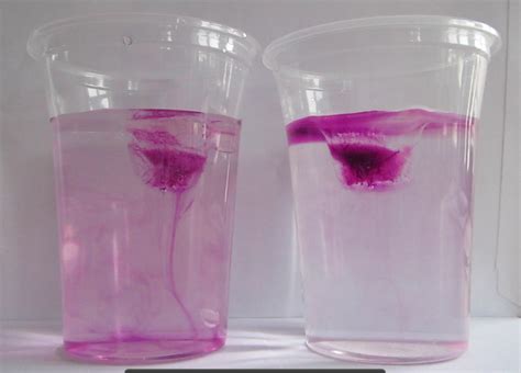 Experiment: Ice cubes melting in fresh water and salt water ...