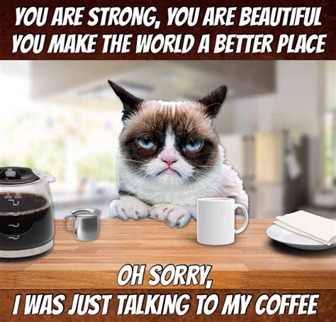 Grumpy Cat Coffee☕️ | Grumpy cat, Cat coffee, Grumpy cat quotes