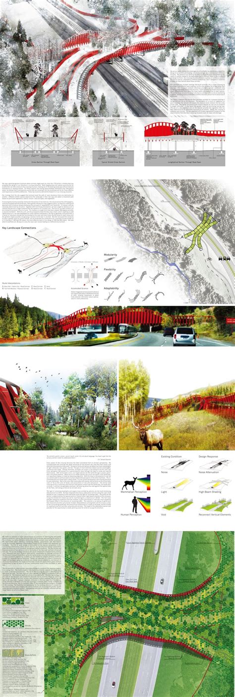 ARC International Wildlife Crossing Infrastructure Design Competition ...