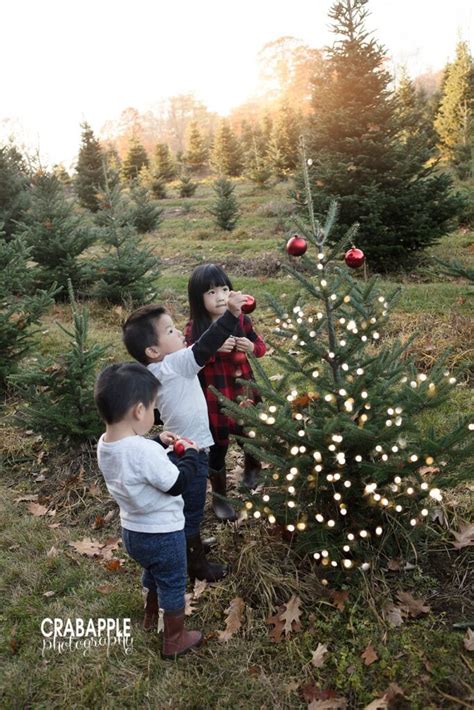 Tree Farm Christmas Photos · Crabapple Photography