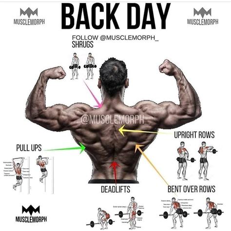 Back day workout – Artofit