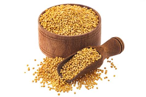 Yellow Mustard Seeds – MR Agro Industries