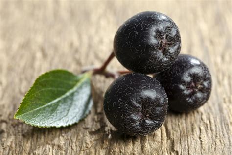 Control Cholesterol with Aronia Berries - Health Engagement