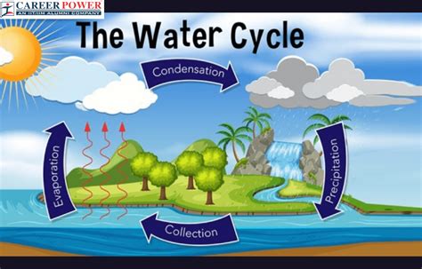 Water Cycle Diagram, Process and Model