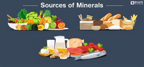 What are food minerals | Health