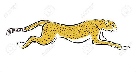 Cheetah Cartoon Drawing at GetDrawings | Free download