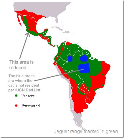 Jaguar Distribution Map | Jaguar, Blue area, Map