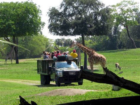 Animal encounters at Busch Gardens Tampa Bay