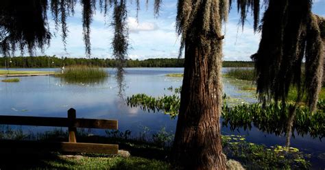 Lake Butler, FL: History, Attractions, & Things to Do