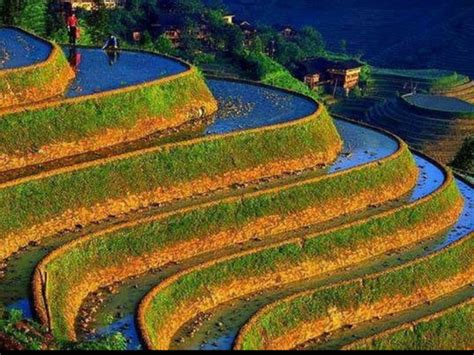 Banaue Rice Terraces, in Ifugao Stairway to Heaven Philippines _02