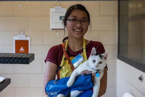 What it's like to be a volunteer at Animal Humane Society | Animal ...