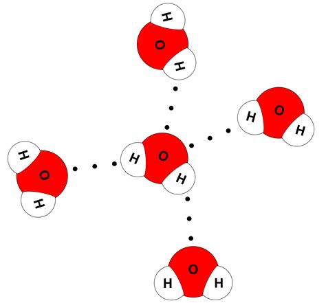 ️Water Molecule Worksheet Free Download| Goodimg.co