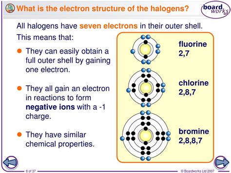 PPT - Group 7 – the halogens PowerPoint Presentation, free download ...