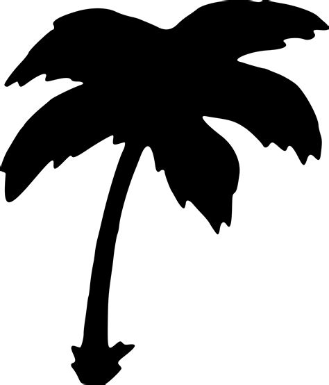 Palm Tree Silhouette Transparent at GetDrawings | Free download