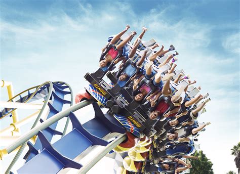 The Best Roller Coasters at Busch Gardens | Orlando Ticket Deals