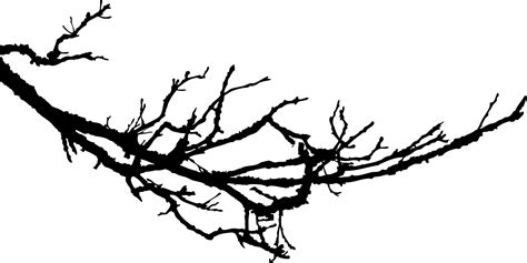 Tree Branch Silhouette Clip Art at GetDrawings | Free download