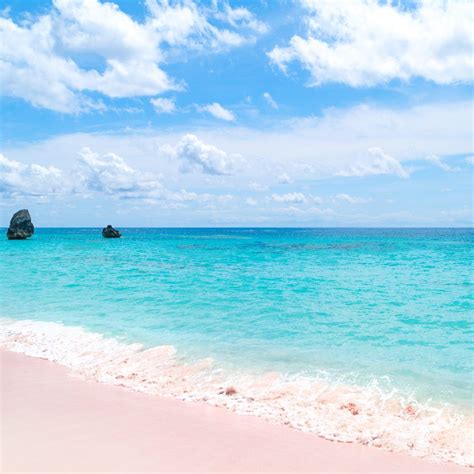 Bermuda Pink Sand Beaches in 2020 | Bermuda travel, Bermuda pink sand ...