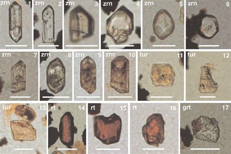 Heavy minerals occurring in the Lower Toarcian part of the Óbánya ...