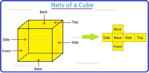 How To Draw The Net Of A Cuboid - Artistrestaurant2