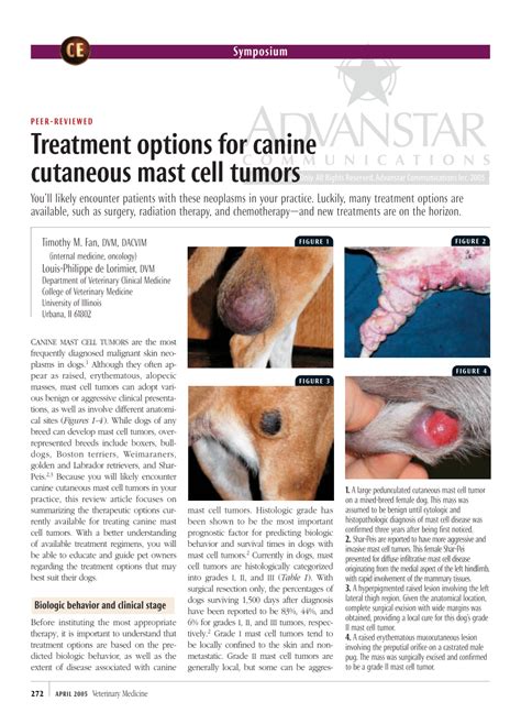 Can Benadryl Help Control A Mast Cell Tumor In Dogs