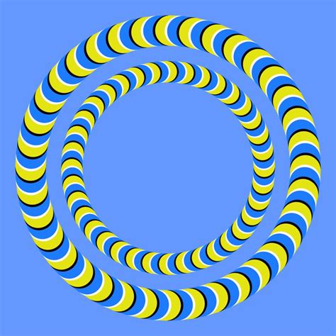 The latest works 31 | Moving optical illusions, Cool optical illusions ...