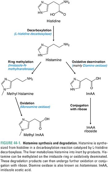 Histamine Pharmacology | Basicmedical Key