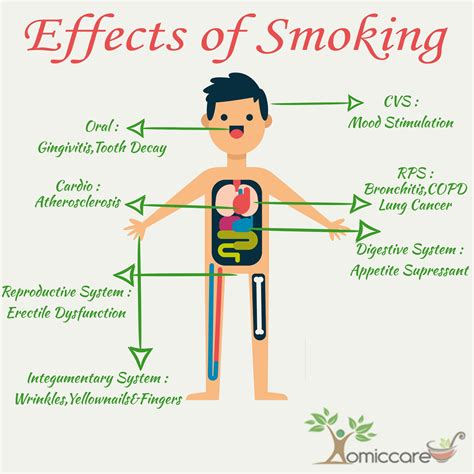 Effects Of Smoking On Children s Body