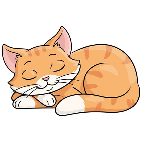 Sleeping Cat Drawing