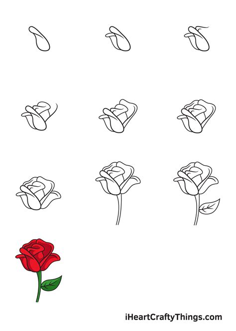 Rose Drawing - How To Draw A Rose Step By Step