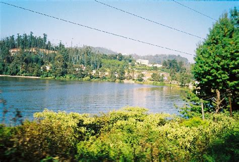 Ooty lake - India Travel Forum | IndiaMike.com