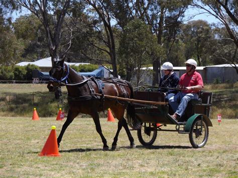 Carriage driving